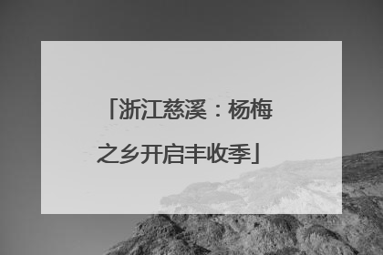 浙江慈溪：杨梅之乡开启丰收季
